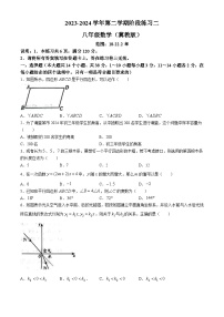 河北省邢台市邢台经济开发区思源实验学校2023-2024学年八年级下学期月考数学试题(无答案)