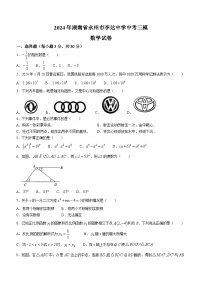 21，2024年湖南省永州市李达中学中考三模数学试题