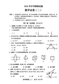 25，四川省德阳市中江县多校联考2024年中考二模考试数学试题