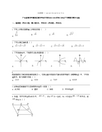 广东省惠州市惠阳区惠州市知行学校2023-2024学年八年级下学期数学期中试题