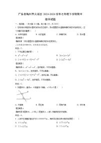 广东省梅州市大埔县2023-2024学年七年级下学期期中数学试卷（解析版）