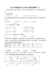 2024年河南省郑州市九年级中考数学押题卷（六）