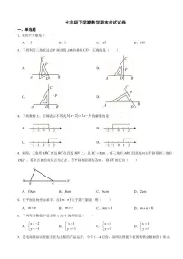 北京市密云区2024年七年级下学期数学期末考试试卷(附参考答案）