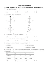 广西南宁市2024年八年级下学期数学期末试卷(附参考答案）