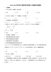 精品解析：重庆市巴南区2022-2023学年八年级下学期期末数学试题