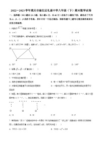 精品解析：重庆市渝北区礼嘉中学校2022-2023学年八年级下学期期末数学试题