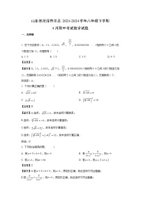 山东省菏泽市单县2023-2024学年八年级下学期4月期中考试数学试卷（解析版）