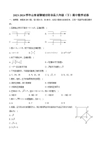 2023-2024学年山东省聊城市阳谷县八年级（下）期中数学试卷（含解析）