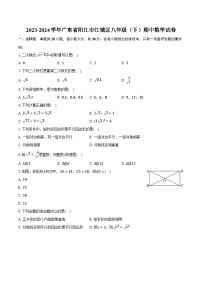 2023-2024学年广东省阳江市江城区八年级（下）期中数学试卷（含解析）