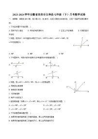 2023-2024学年安徽省阜阳市太和县七年级（下）月考数学试卷（含解析）