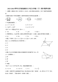 2023-2024学年江苏省盐城市大丰区七年级（下）期中数学试卷（含解析）