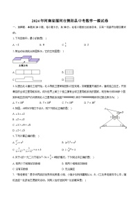 2024年河南省漯河市舞阳县中考数学一模试卷（含解析）