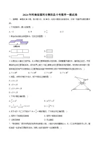 2024年河南省漯河市舞阳县中考数学一模试卷（含解析）