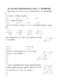 2023-2024学年江西省宜春市高安市八年级（下）期中数学试卷（含解析）