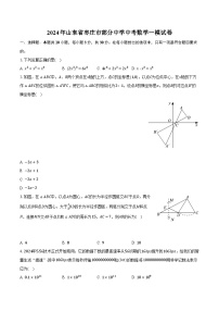 2024年山东省枣庄市部分中学中考数学一模试卷（含解析）