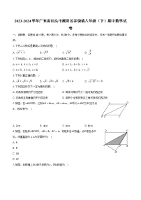 2023-2024学年广东省汕头市潮阳区谷饶镇八年级（下）期中数学试卷（含解析）