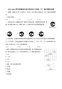 2023-2024学年河南省许昌市禹州市七年级（下）期中数学试卷（含解析）