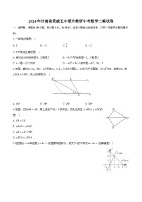 2024年甘肃省武威五中联片教研中考数学三模试卷（含解析）