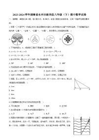 2023-2024学年湖南省永州市新田县八年级（下）期中数学试卷（含解析）