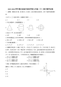 2023-2024学年重庆实验外国语学校九年级（下）期中数学试卷（含解析）