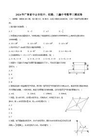 2024年广东省中山市纪中、纪雅、三鑫中考数学三模试卷（含解析）