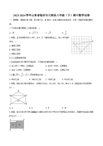 2023-2024学年山东省临沂市兰陵县八年级（下）期中数学试卷（含解析）