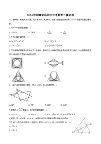 2024年湖南省岳阳市中考数学二模试卷（含解析）