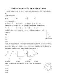 2024年甘肃省武威十四中联片教研中考数学三模试卷（含解析）