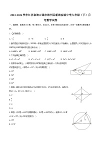 2023-2024学年江苏省连云港市海州区新海实验中学九年级（下）月考数学试卷（含解析）