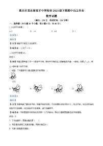 重庆市龙水湖育才中学校2023-2024学年七年级下学期期中数学试题（学生版+教师版 ）