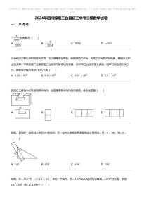 2024年四川绵阳三台县初三中考二模数学试卷