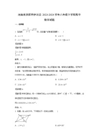 河南省洛阳市伊川县2023-2024学年八年级下学期期中数学试卷（解析版）