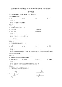 安徽省淮南市潘集区2023-2024学年七年级下学期期中数学试卷（解析版）