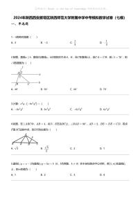 2024年陕西西安雁塔区陕西师范大学附属中学中考模拟数学试卷（七模）