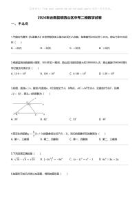 2024年云南昆明西山区中考二模数学试卷