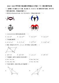 精品解析：四川省成都市武侯区2022-2023学年七年级下学期期末数学试题