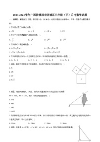 2023-2024学年广西防城港市防城区八年级（下）月考数学试卷（含解析）