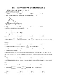 广东省江门市江门市新会尚雅学校2023-2024学年七年级下学期期中数学试题(无答案)