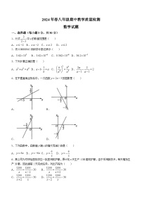 河南省驻马店市上蔡县2023-2024学年九年级下学期期中数学试题(无答案)