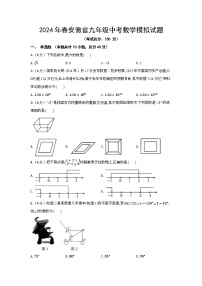 2024年春安徽省九年级中考数学模拟试题（含答案）