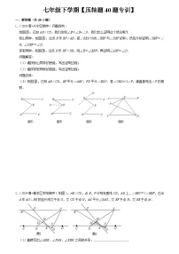 人教版数学七年级下期期末复习压轴题专训40题（原卷版+解析版）