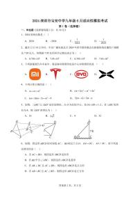 2024年广东省深圳市宝安中学九年级6月适应性考试（三模）数学试题（含答案）