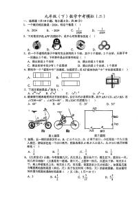 2024年湖北省武汉市武汉二中广雅中学中考二模数学试题