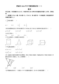 2024年甘肃省武威市九年级中考一模数学试题