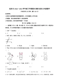 广西桂林市2022-2023学年七年级下学期期末考试数学试卷(答案不全)