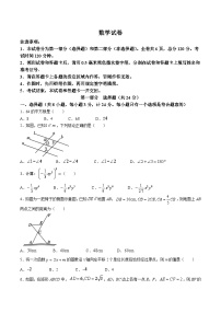 陕西省咸阳市秦都区2024届九年级下学期中考一模数学试卷(含答案)