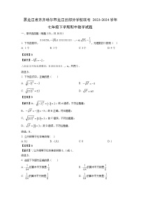 黑龙江省齐齐哈尔市龙江县部分学校联考2023-2024学年七年级下学期期中数学试题（解析版）