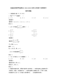 河南省洛阳市宜阳县2023-2024学年七年级下学期期中数学试题（解析版）