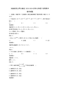 河南省周口市太康县2023-2024学年七年级下学期期中数学试题（解析版）