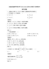 河南省南阳市邓州市2023-2024学年七年级下学期期中数学试题（解析版）